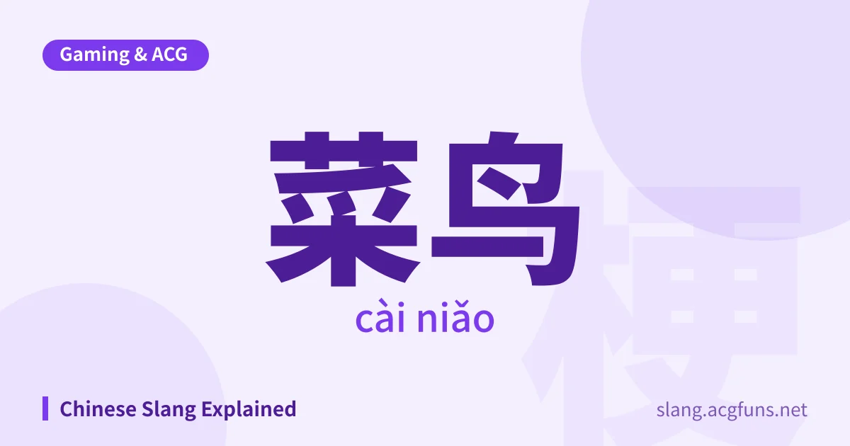 菜鸟 (cài niǎo)