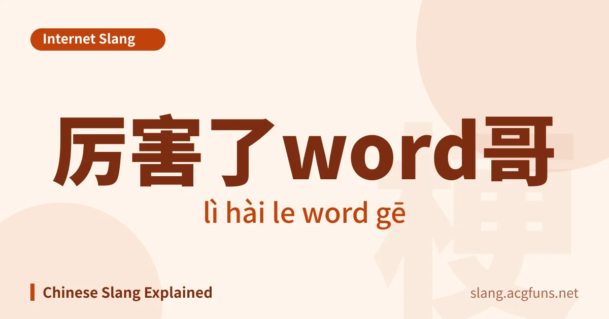 厉害了word哥 (lì hài le word gē)