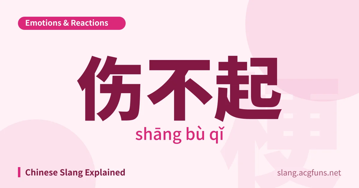 伤不起 (shāng bù qǐ)