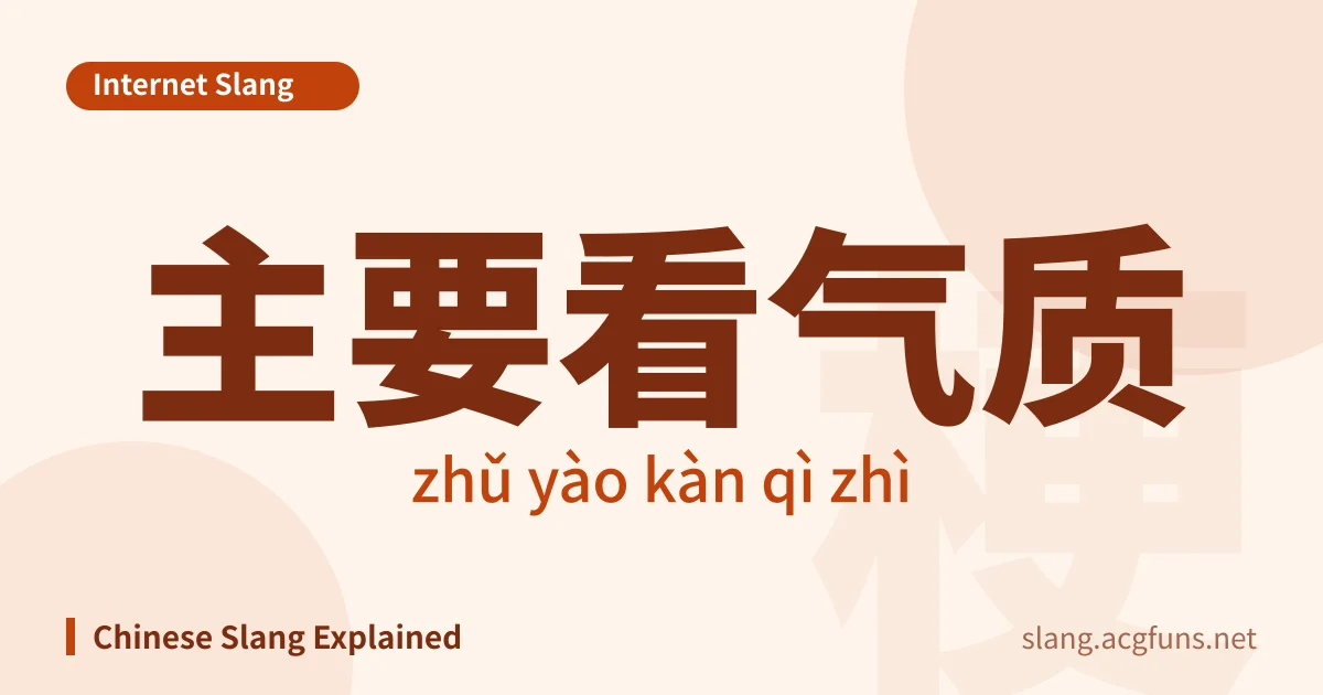 主要看气质 (zhǔ yào kàn qì zhì)